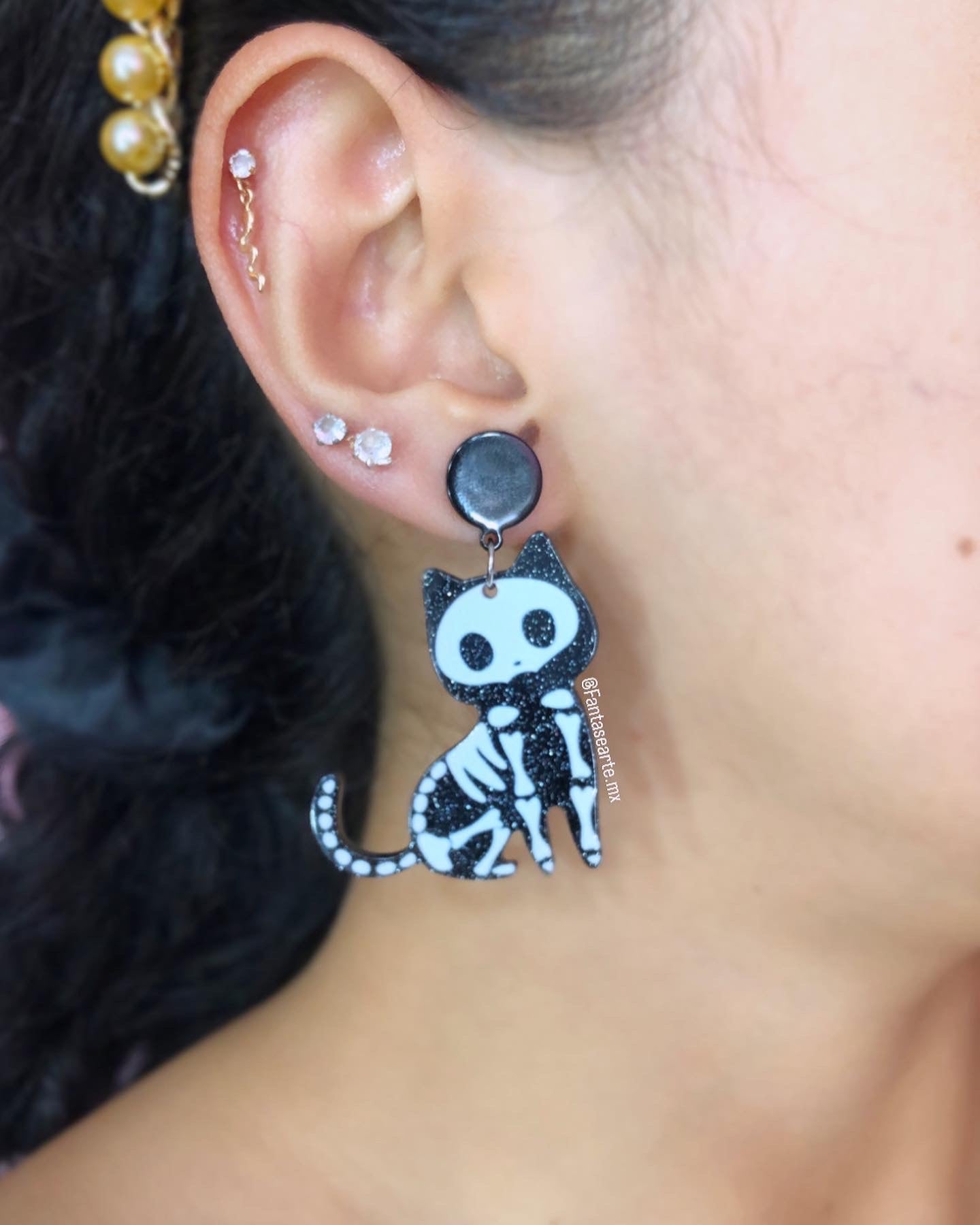 Perros y gatos esqueletos